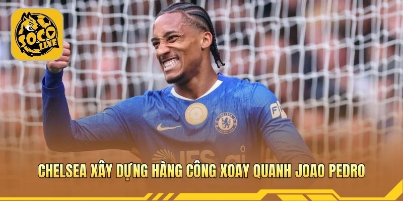 Chelsea xây dựng hàng công mới xoay quanh Joao Pedro ổn định