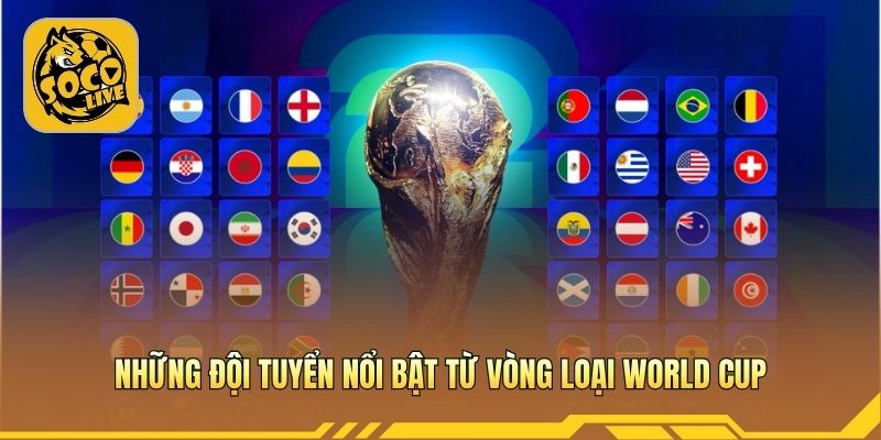Kết quả vòng loại World Cup phản ánh sức mạnh các đội