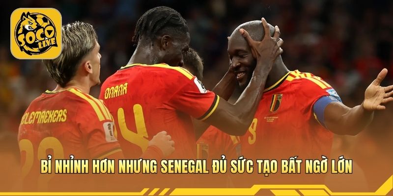 Bỉ nhỉnh hơn nhưng Senegal đủ sức tạo bất ngờ lớn