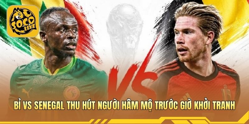 Bỉ vs Senegal thu hút người hâm mộ trước giờ khởi tranh